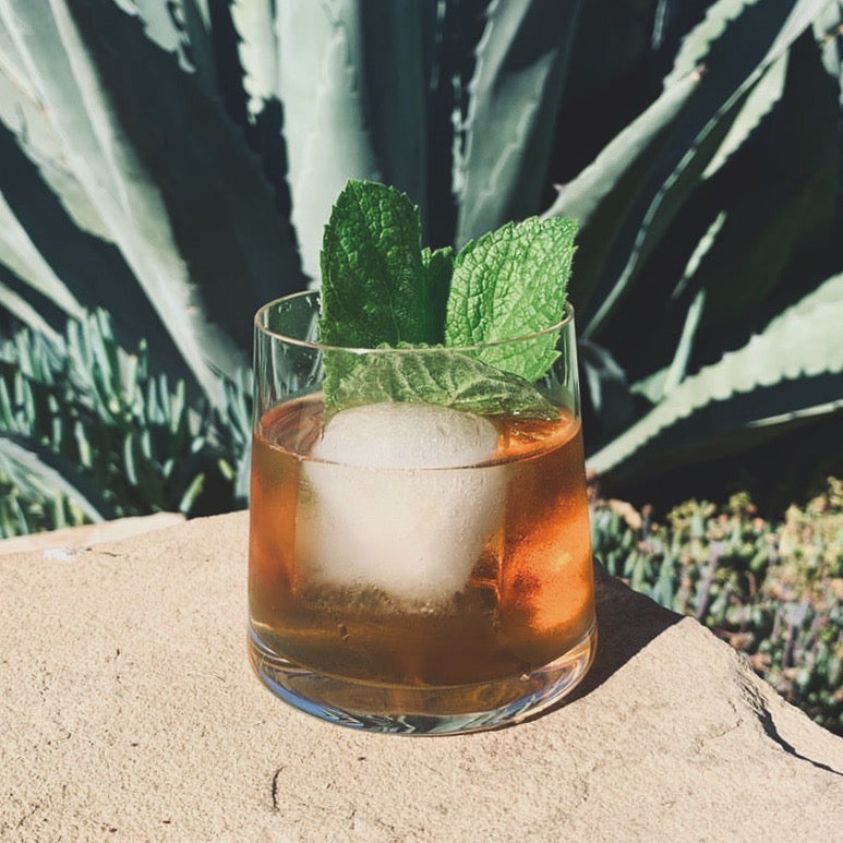 Mezcal Recipes: A Guide to Traditional and Modern Cocktails featuring Paquera Mezcal