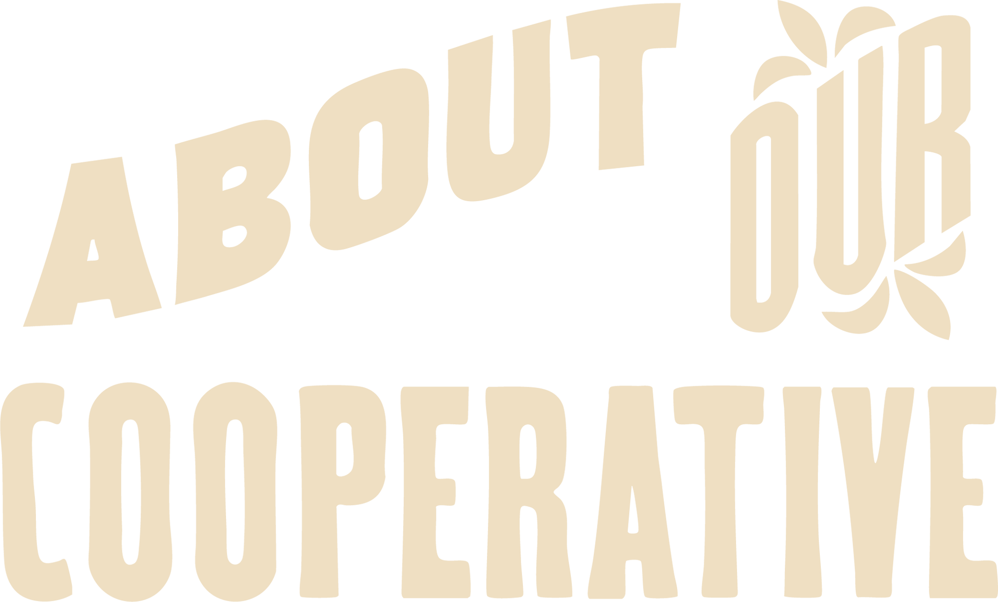 Bold, stylized text reading 'About Our Cooperative' for the Paquera Mezcal Cooperative, featuring artistic typography with plant-inspired details.