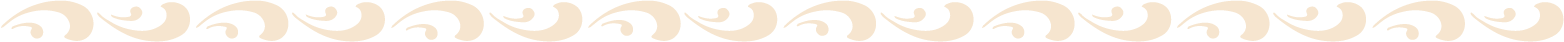 a talavera tile style flourish for paquera mezcal