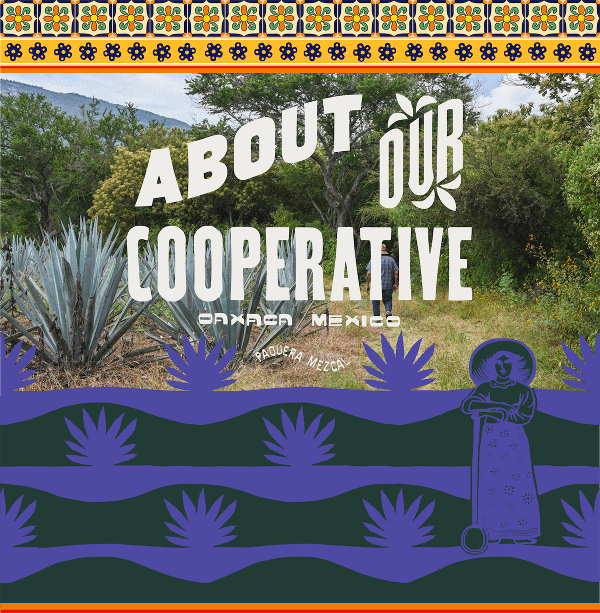 Paquera Mezcal cooperative banner featuring an agave field in Oaxaca, Mexico, with a farmer walking through lush greenery. Traditional Mexican tile patterns decorate the top, while stylized agave plants and an illustrated figure frame the bottom.