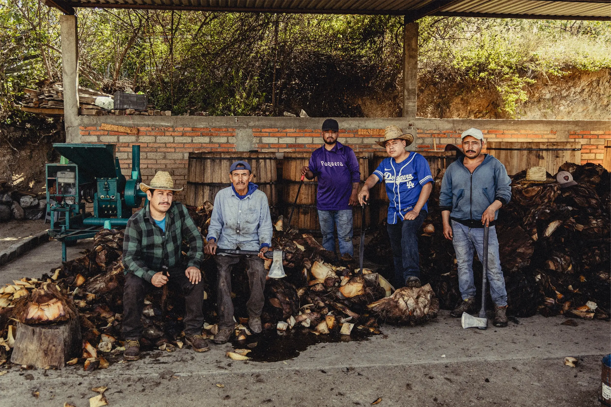 "Five mezcaleros at a traditional mezcal distillery, surrounded by roasted agave piñas. Workers holding axes and machetes prepare agave for fermentation and distillation. Rustic setting with brick walls, barrels, and production equipment.